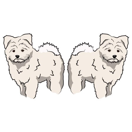 Amistad 6 in. Pomapoo Decal - Dog Lover Super Cute Sticker, 2PK AM3257595